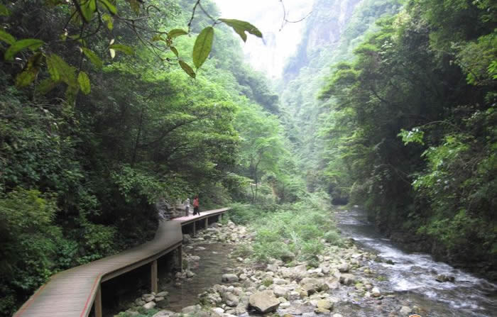 ���ҽ��{��