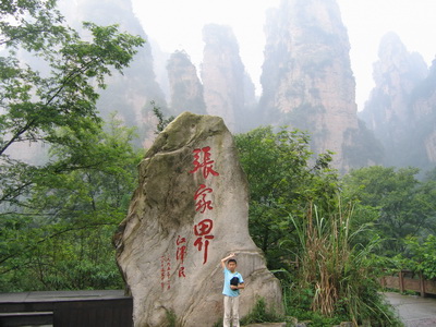 ���ҽ��(gu��)��ɭ�ֹ��@