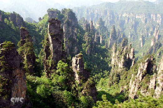 ���ҽ�����΃���ͨƱ�������N�����g�ɽ硱