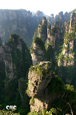 ���ҽ�����΃���ͨƱ�������N�����g�ɽ硱